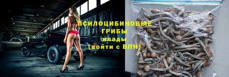 Псилоцибиновые грибы MAGIC MUSHROOMS  где купить наркоту  Белорецк 